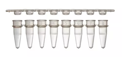 8-strip PCR tubes with Separate Caps