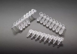 ProCycle 8-strip PCR tubes