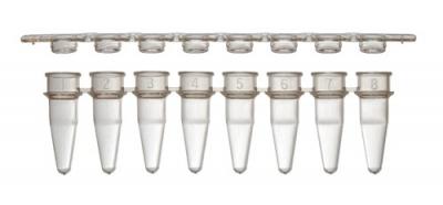 8-strip PCR tubes with Separate Caps
