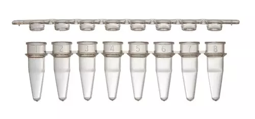 8-strip PCR tubes with Separate Caps