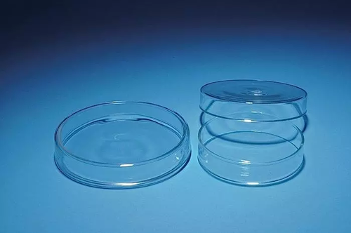 Petri Dishes, Borosilicate Glass