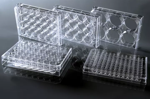 48 Well Cell Culture Plate, flat, TC, sterile, Bulk, 10/pk, 50/cs