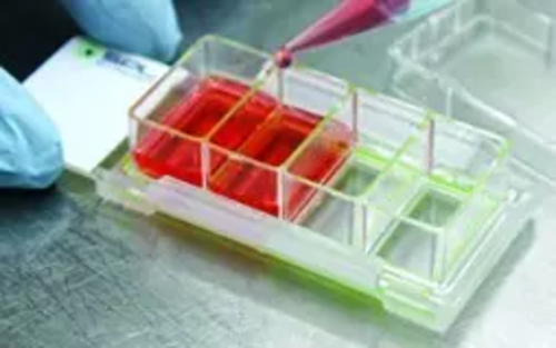 Chamber Slides for Cell Culture